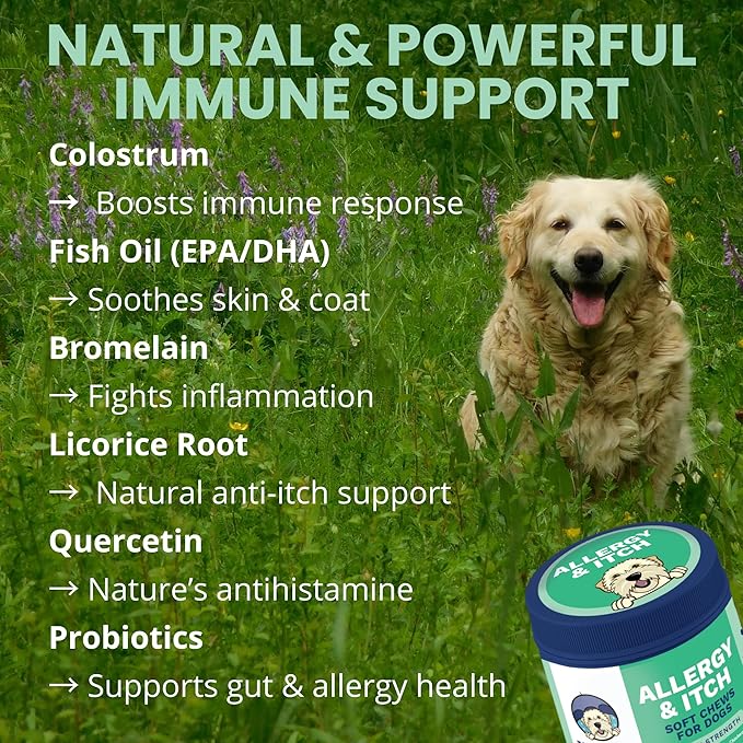 Under the Weather Allergy & Itch Pet Allergy Chews for Dogs | Vet Formulated Skin Support for Canines | Soothing Dog Allergies and Itching Relief Supplement | 60 Count