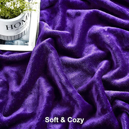DREAMNINE Oversized Soft Fuzzy Fleece Throw Blanket Twin Size 60" x 80",Decorative Large Solid Lightweight Velvet Bed Blanket,Big Cute Cozy Accent Shaggy Microfiber Flannel Blankets for Bedroom,Purple