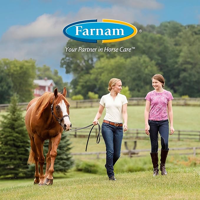 Farnam Quietex II Horse Calming Supplement Pellets, Helps Manage Nervous Behavior and Keep Horses Calm & Composed in Stressful Situations, 1.625 Lbs, 26 Day Supply (Pack of 6)