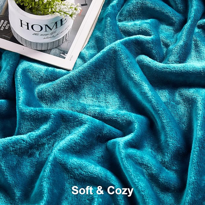 DREAMNINE Large Soft Fuzzy Flannel Fleece Throw Blanket for Couch Sofa 60" x 80", Decorative Solid Lightweight Velvet Bed Blanket, Luxury Cozy Shag Plush Microfiber Blankets for Bedroom,Twin Size,Teal