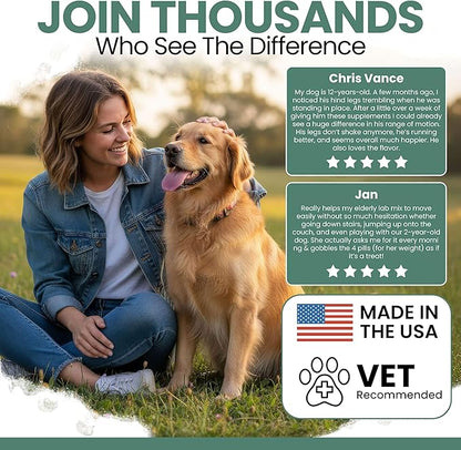 Chew + Heal Labs Glucosamine for Dogs Hip and Joint Supplement - 60 Senior Dogs Mobility Soft Chews - Made with Glucosamine, MSM, Chondroitin, Green Lipped Mussels and More - Made in The USA