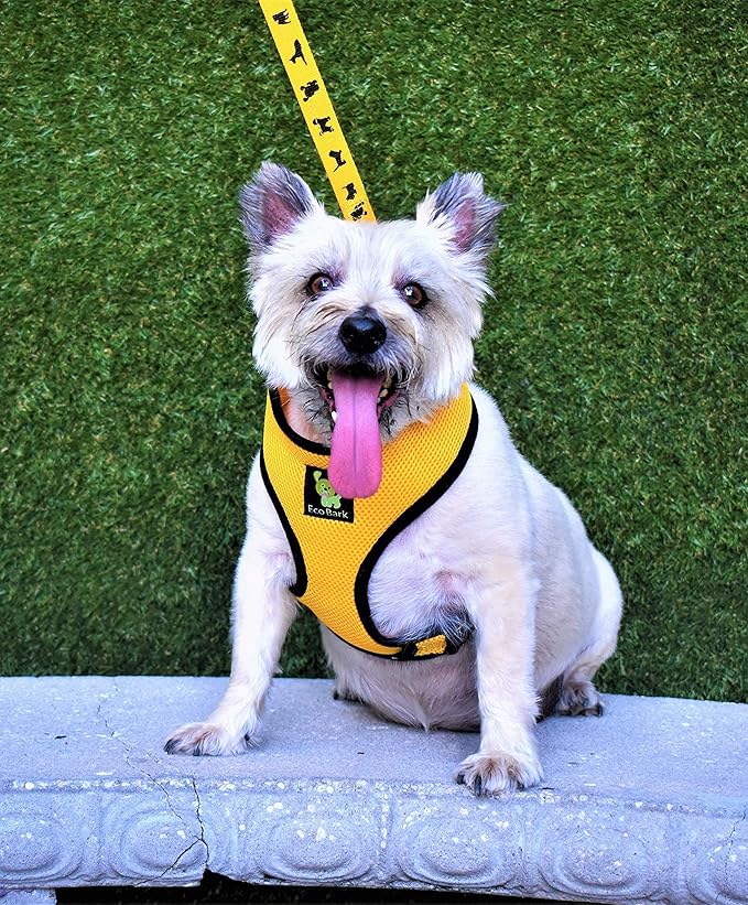 EcoBark Yellow Dog Harness - Eco-Friendly Max Comfort Harnesses - Luxurious Soft Mesh Halter - Over the Head Harness Vest- No Pull and No Choke