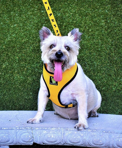 EcoBark Yellow Dog Harness - Eco-Friendly Max Comfort Harnesses - Luxurious Soft Mesh Halter - Over the Head Harness Vest- No Pull and No Choke