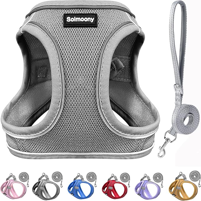 Solmoony Sparkly XXXS Dog Harness and Leash Set, Step in Soft Light Puppy Vest, Breathable Reflective Pet Harness for Walking, Puppy Harness for Small Dogs Cats (Grey, XXXS)