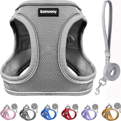Solmoony Sparkly Medium Dog Harness and Leash Set, Step in Soft Light Puppy Vest, Breathable Reflective Pet Harness for Walking, Puppy Harness for Medium Dogs Cats (Grey, L)