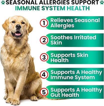 Dog Allergy Relief Chews - Dog Itching Skin Relief Treatment - 170 Chews - Anti-Itch, Hot Spots, Paw Licking - Immune Health - Omega 3 Fish Oil - Dry Itchy Skin and Coat Supplement - Made in USA