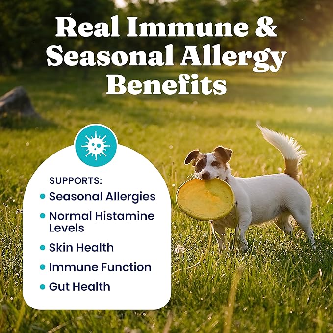 Solid Gold Dog Allergy Relief Chews - Dog Itching Skin Relief & Seasonal Allergies Support - Alaskan Salmon Oil for Dogs Skin, Coat & Immune Support - Bacon Flavor Soft Allergy Chews for Dogs - 60ct