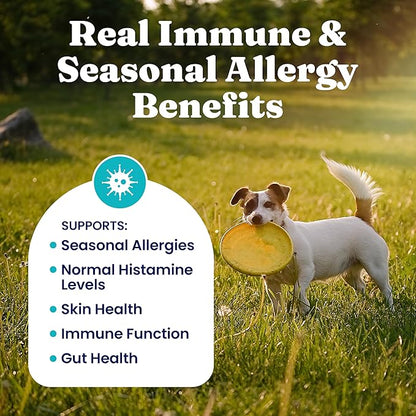Solid Gold Dog Allergy Relief Chews - Dog Itching Skin Relief & Seasonal Allergies Support - Alaskan Salmon Oil for Dogs Skin, Coat & Immune Support - Bacon Flavor Soft Allergy Chews for Dogs - 60ct