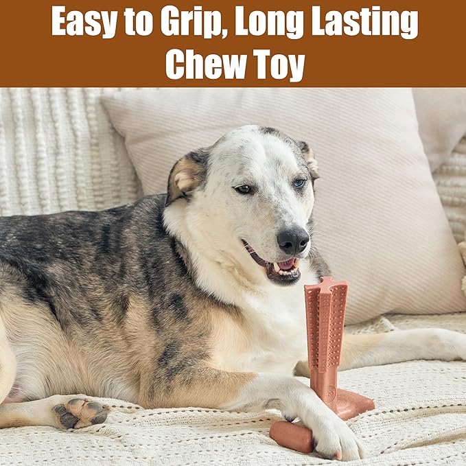 SPOT Bam-Bones Plus Coffee Wood T-Bone Dog Chew Toy, Beef Flavor, Nylon and Coffee Wood Fiber Blend, Durable Chew for Heavy Chewers and Dogs Under 90 lbs, Non-Splintering Dental Chew, 7 Inch