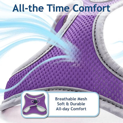 Kruz Dog Harness (Chest 13.5"-14", Weight 4–6 lbs) Athletica Adjustable Heavy Duty No Choke Puppy Vest for Small Dogs Lightweight Air Mesh, Reflective, Puppy Essentials – Amethyst, X-Small