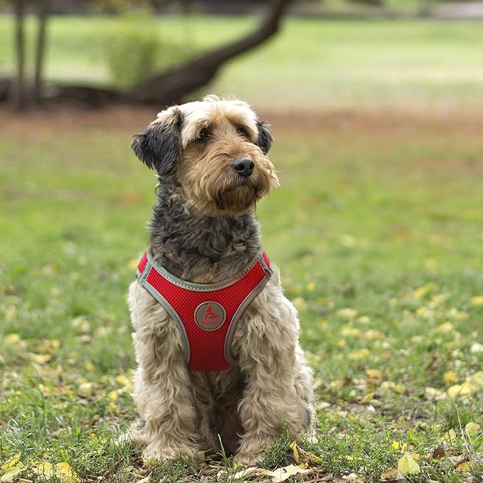 Kruz Dog Harness (Chest 18.5"-19.5", Weight 15–20 lbs) Athletica Adjustable Heavy Duty No Choke Puppy Vest for Small Dogs Lightweight Air Mesh, Reflective, Puppy Essentials – Orange, Large
