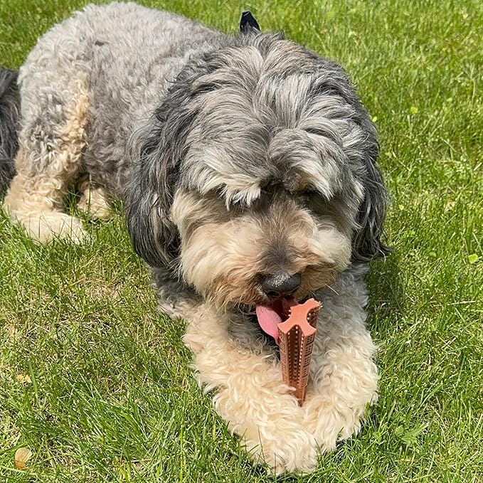 SPOT Bam-Bones Plus Coffee Wood T-Bone Dog Chew Toy, Beef Flavor, Nylon and Coffee Wood Fiber Blend, Durable Chew for Heavy Chewers and Dogs Under 90 lbs, Non-Splintering Dental Chew, 7 Inch