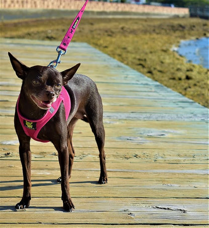 EcoBark Rapid Fastener Super Comfort Fully Adjustable Double Padded Step in Dog Harness (Medium, Pink)