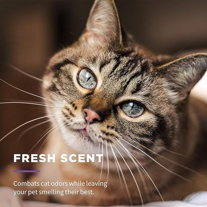 Wet Ones for Pets Freshening Multipurpose Wipes for Cats with Aloe Vera, Fresh Scent - Easy to Use Cat Cleaning Wipes for Pet Grooming in Canister, 50 Count - 3 Pack