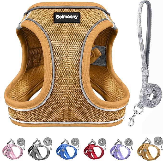 Solmoony Sparkly XXS Dog Harness and Leash Set, Step in Soft Light Puppy Vest, Breathable Reflective Pet Harness for Walking, Puppy Harness for Small Dogs Cats (Brown, XXS)