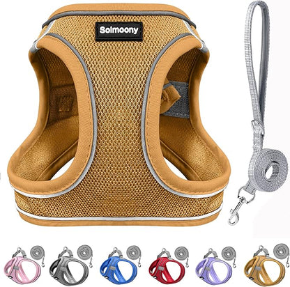 Solmoony Sparkly XXS Dog Harness and Leash Set, Step in Soft Light Puppy Vest, Breathable Reflective Pet Harness for Walking, Puppy Harness for Small Dogs Cats (Brown, XXS)