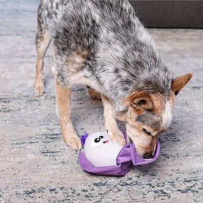 Outward Hound by Nina Ottosson Hide N' Find Interactive Plush Dog Puzzle, Durable Dog Toy, Plush Enrichment Toys, Cauliflower, Purple
