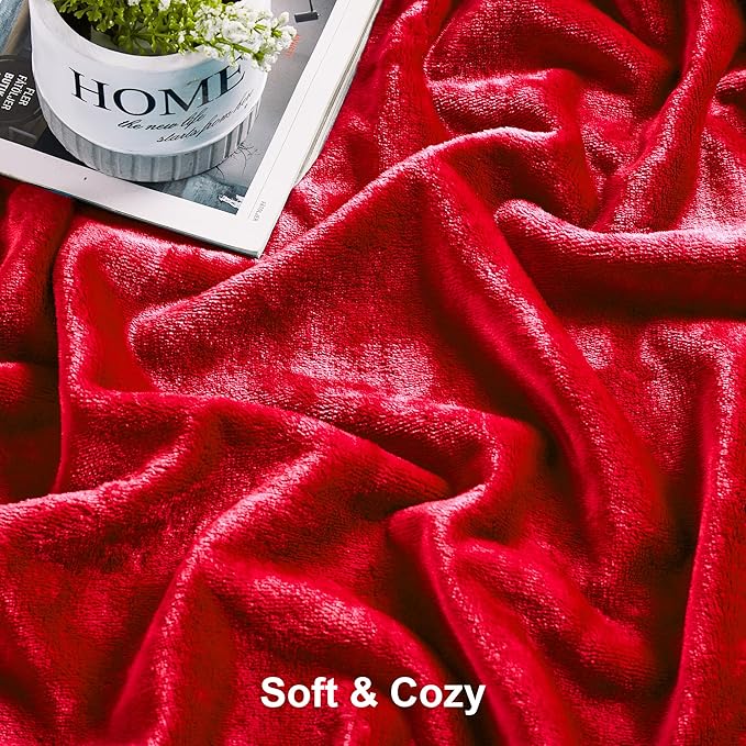 DREAMNINE Ultra Large Soft Fuzzy Flannel Fleece Blanket Queen Size 90" x 90", Decorative Solid Lightweight Fluffy Velvet Bed Blanket,Luxury Big Cute Cozy Shag Plush Microfiber Blankets for Bedroom,Red
