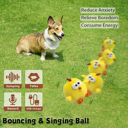 Interactive Dog Toys, Puppy Toys to Keep Them Busy, Rechargeable Squeaky Dog Toys, Bouncing Plush Chew Toy for Small Dogs for Boredom, Automatic Self Play Moving Music Toy