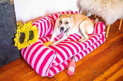 Dog Bed - Luxurious and Decorative Design Enhances Home Decor - Pink Cat Bed, Striped Pet Bed, Dog Sofa Bed with Premium Pillow Cushions for Ultimate Pet Comfort - Machine Washable Cover (Pink, XXL)