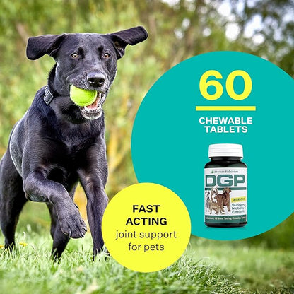 American BioSciences DGP, All-Natural Joint Supplement for Dogs - Joint Support with Turmeric Boswellia Extract - 60 Chewable Pet Tablets per Bottle (60 Count (Pack of 1))