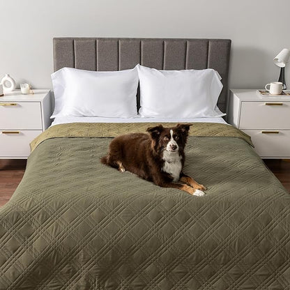PetAmi Waterproof Couch Cover for Dogs, Waterproof Pet Blanket, Reversible Furniture Cover Sofa Protector for Pet Cat Bed, Washable Waterproof Blanket Dog Cover for Couch Seat, 102x82 Green