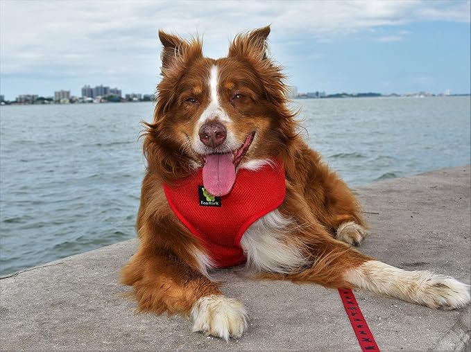 Classic Dog Harness Over The Head No Pull No Choke Design Soft Mesh Padded Breathable Vest for Eco-Friendly Easy Control Walking for Large Puppies Full Size Breeds & Extra Large Dogs (XXL, Red)