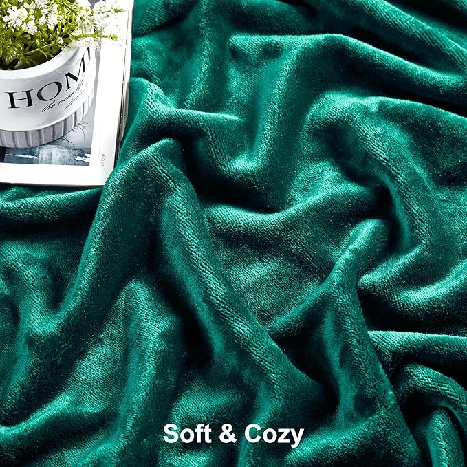 DREAMNINE Soft Cozy Plush Fleece Throw Blanket 50" x 60",Solid Shag Minky Lightweight Fuzzy Flannel Blanket for Bedroom, Luxury Washable Warm Velvet Blankets for Couch Sofa Pet,Breathable,Forest Green
