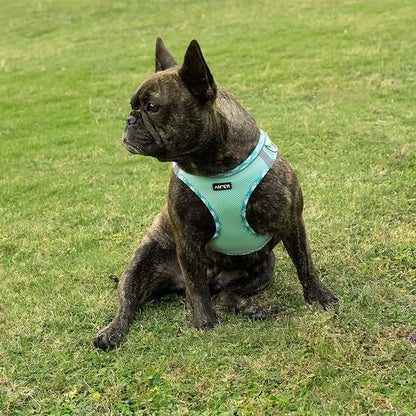 AMTOR Small Dog Harness with Leash Set, No Escape Easy Walk Puppy Harnesses for Training Walking, Step-in Reflective Soft Dogs Vest for XS S Medium Extra-Small Large Sized Dog(Green,L)