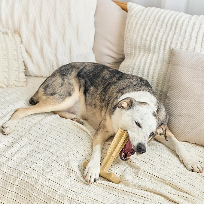 SPOT Bam-Bones Plus Coffee Wood T-Bone Dog Chew Toy, Chicken Flavor, Nylon and Coffee Wood Fiber Blend, Durable Chew for Heavy Chewers and Dogs Under 90 lbs, Non-Splintering Dental Chew, 7 Inch