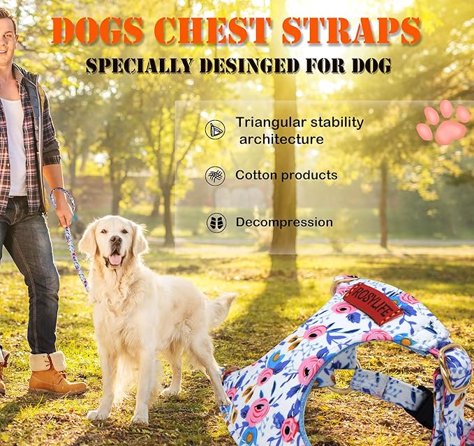 No Pull Dog Harness Adjustable Small Dog Harness and Leash Set, Lightweight and Soft Dog Harness No Choke Escape Proof Pet Harness Vest (Blue Rose, XS)