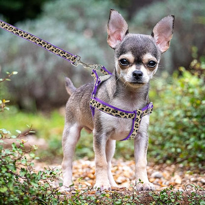 Mile High Life Leopard Dog Harness Collar Leash Set, Adjustable No Pull Dog Halter Harness for Small Breed Dogs, Easy Control for Training Walking (Purple, S Chest 11"-18", Neck 10"-14")