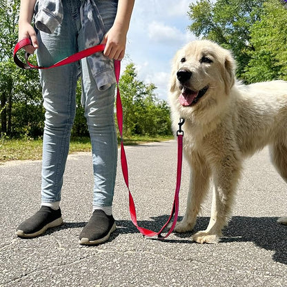 Joytale Dog Leash Heavy Duty for Large Dogs that Pull, Double Handle for Traffic Control, Double-Sided Reflective Leashes for Large Medium Dogs Night Safety, 6FT, Red