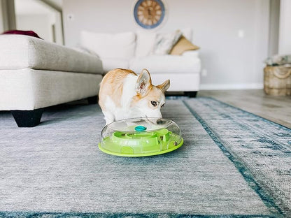 Outward Hound by Nina Ottosson Wobble Bowl Slow Feeder Dog Puzzle, Level 1 Beginner, 11.6 inches x 3.5 inches, Multicolored