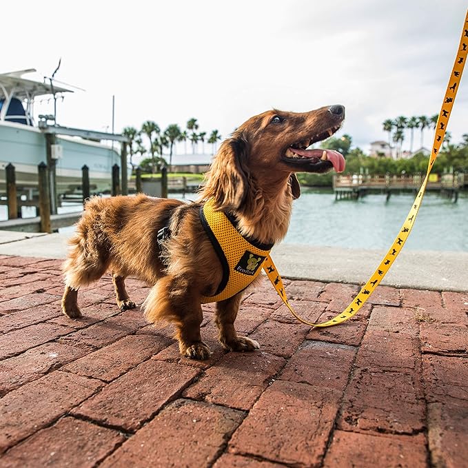 EcoBark Yellow Dog Harness - Eco-Friendly Max Comfort Harnesses - Luxurious Soft Mesh Halter - Over the Head Harness Vest- No Pull and No Choke