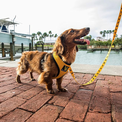 EcoBark Yellow Dog Harness - Eco-Friendly Max Comfort Harnesses - Luxurious Soft Mesh Halter - Over the Head Harness Vest- No Pull and No Choke