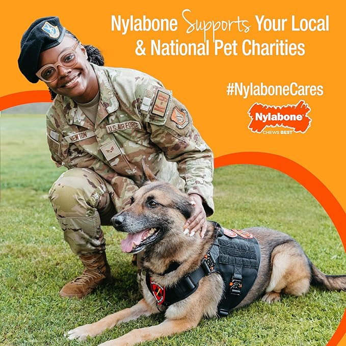 Nylabone Teething Rings Puppy Power Chew Toy for Puppies, Soothing Puppy Teething Bone, Enrichment Toy for Puppies, Bacon Flavor, Small Dogs - Up to 25 Ibs, 1 Count