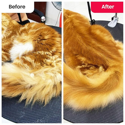 CATTASAURUS Cats & Dogs Grooming Brush for Shedding - 2 in 1 Deshedding Tool and Undercoat Rake for Long and Short Haired Dogs with Double Coat - Dematting Comb and Pet Hair Deshedder Supplies