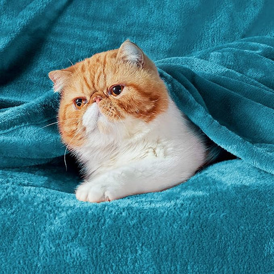 Bedsure GentleSoft Fleece Blankets King Size Teal - Bed Blanket Soft Lightweight Plush Cozy Fuzzy Luxury Microfiber, 108x90 inches