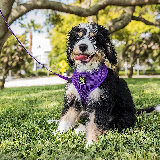 EcoBark Dog Harness - Eco-Friendly Max Comfort Harnesses - Luxurious Soft Mesh Halter - Over The Head Harness Vest- No Pull and No Choke for Puppy, Small Breeds & Medium Dogs (Large, Purple)