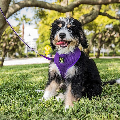 EcoBark Dog Harness - Eco-Friendly Max Comfort Harnesses - Luxurious Soft Mesh Halter - Over The Head Harness Vest- No Pull and No Choke for Puppy, Small Breeds & Medium Dogs (Large, Purple)
