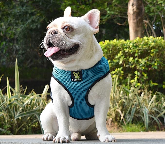 EcoBark Dog Harness - Eco-Friendly Max Comfort Harnesses - Luxurious Soft Mesh Halter - Over the Head Harness Vest- No Pull and No Choke for Small, Toy Breed, and Teacup Dogs (XS, Teal Blue)