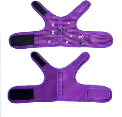 Cat Harness and Leash for Walking Escape Proof Breathable Mesh Fabric, Purple, Extra Large, Adjustable Cat Walking Jackets with DIY Beads, Padded Stylish Cat Vest