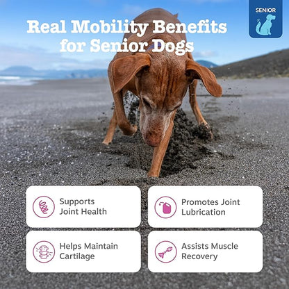 Zesty Paws Mobility Bites Joint Supplement for Dogs - Soft Chews with Glucosamine for Dogs, Chondroitin, & MSM + Vitamins C and E - Adv Chicken - 90 Count