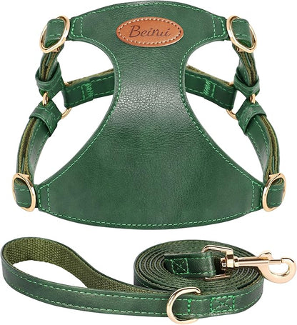 Beirui ‌Stylish PU Leather Dog Harness‌ and Leash Set for Small Dogs, ‌Adjustable Step in Puppy Harness with Breathable Mesh Lining and Durable Metal Buckle for Walking Traveling(Green,XS)