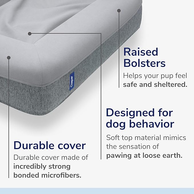 Casper Dog Bed, Plush Memory Foam, Medium, Gray, 25.0"L x 33.0"W x 6.0"Th