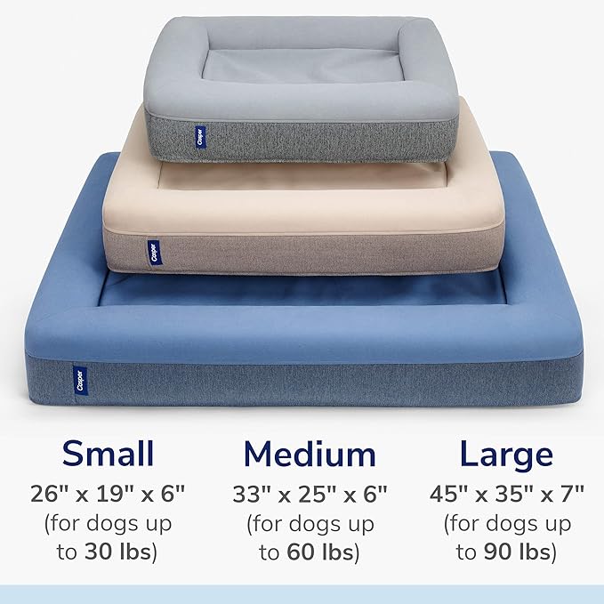 Casper Dog Bed, Plush Memory Foam, Medium, Blue