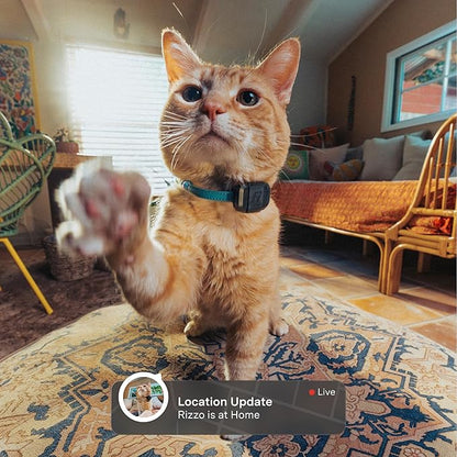 Fi Mini GPS Tracker for Cats — Lightweight Collar Attachment, Virtual Fences, Escape Alerts, Step & Health Tracking, Waterproof Cat Tracker — 12-Month Membership Included