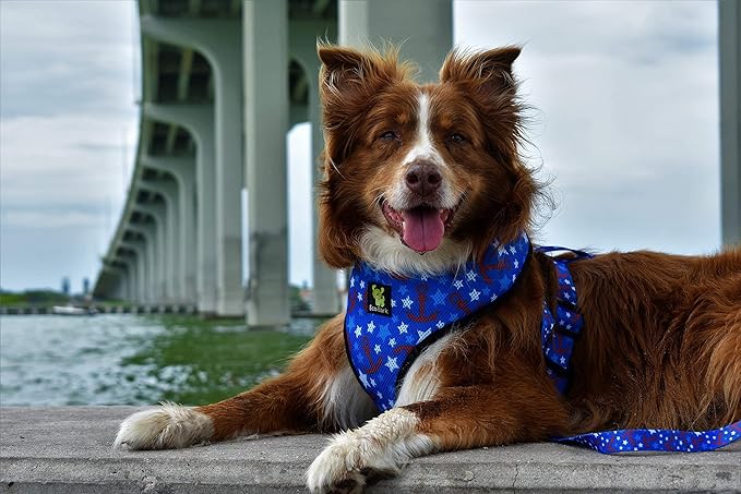 Classic Dog Harness Innovative Mesh No Pull No Choke Design Soft Double Padded Breathable Vest for Eco-Friendly Easy Control Walking Large Puppies Full Size Breeds & Extra Large Dogs (XXL, Nautical)