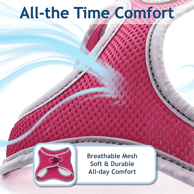 Kruz Dog Harness (Chest 13.5"-14", Weight 4–6 lbs) Athletica Adjustable Heavy Duty No Choke Puppy Vest for Small Dogs Lightweight Air Mesh, Reflective, Puppy Essentials – Raspberry Pink, X-Small